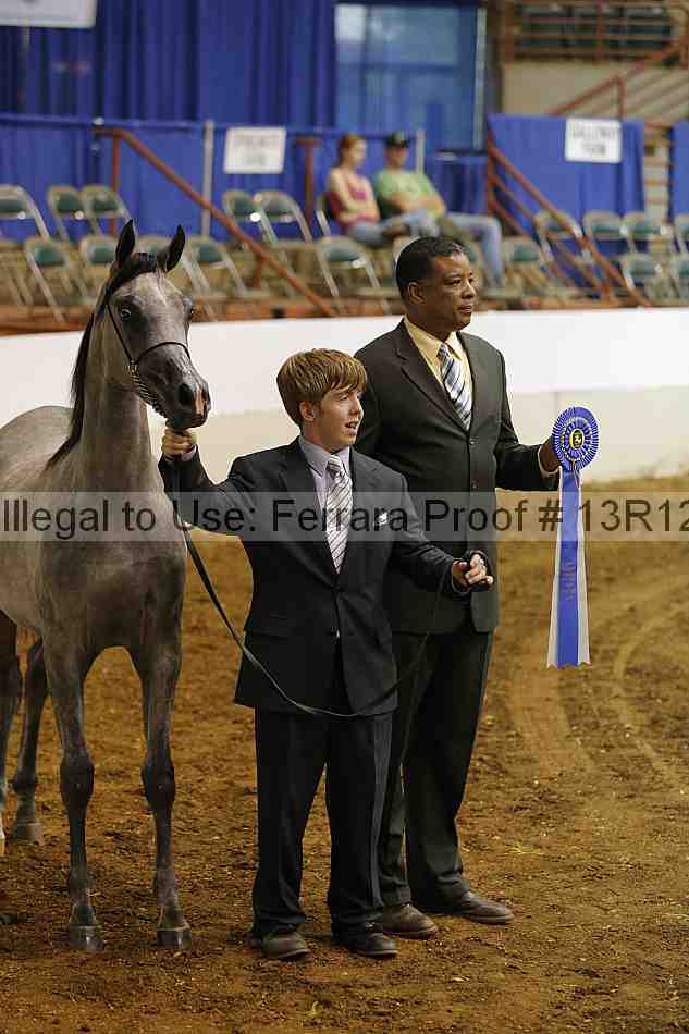 Proof Number 13r12_4636