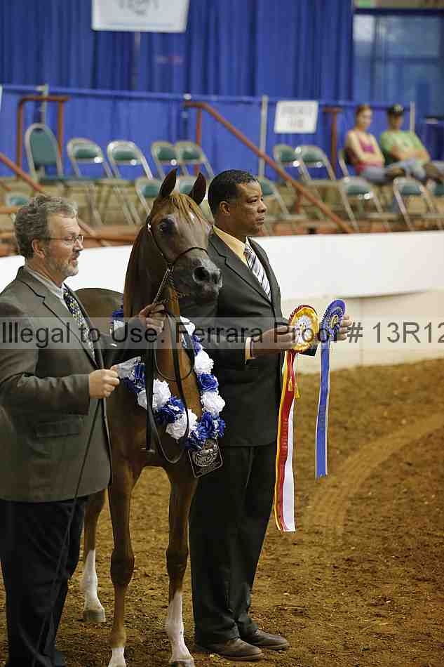 Proof Number 13r12_4641