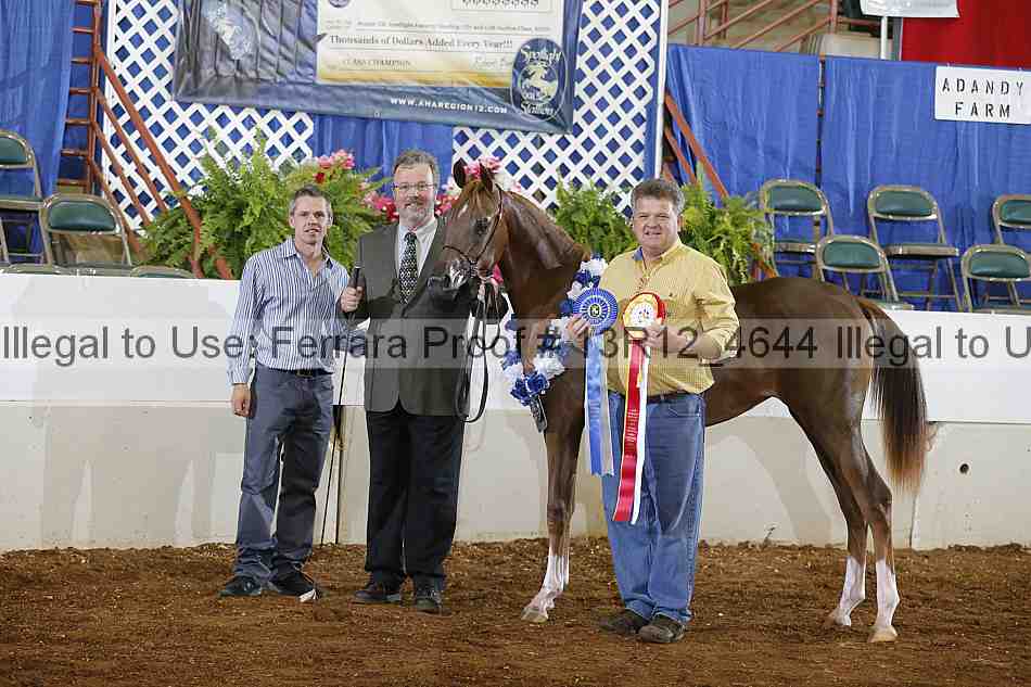 Proof Number 13r12_4644