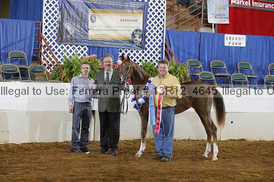 Proof Number 13r12_4645