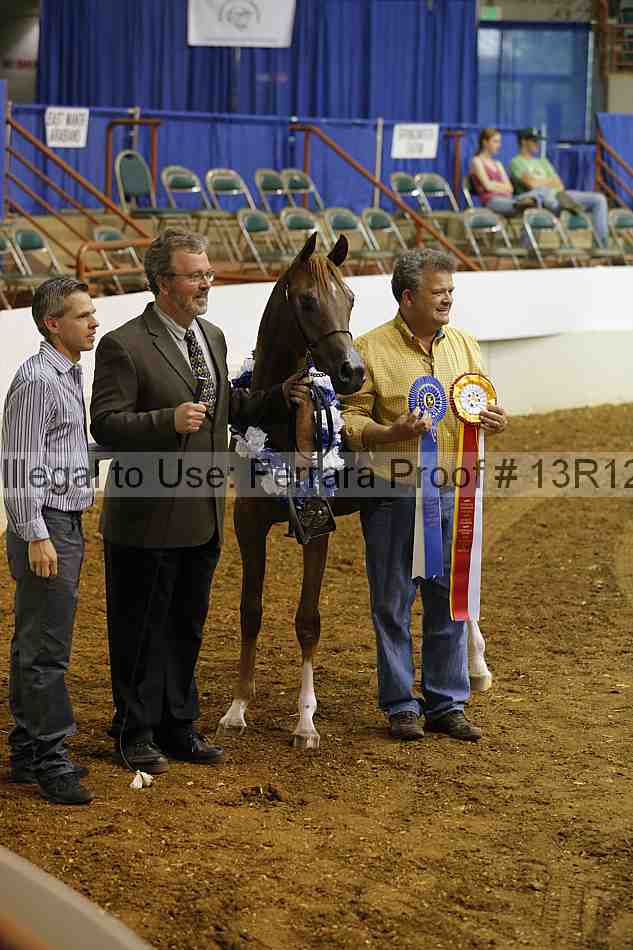 Proof Number 13r12_4649