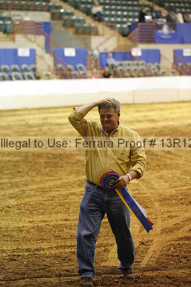 Proof Number 13r12_4650