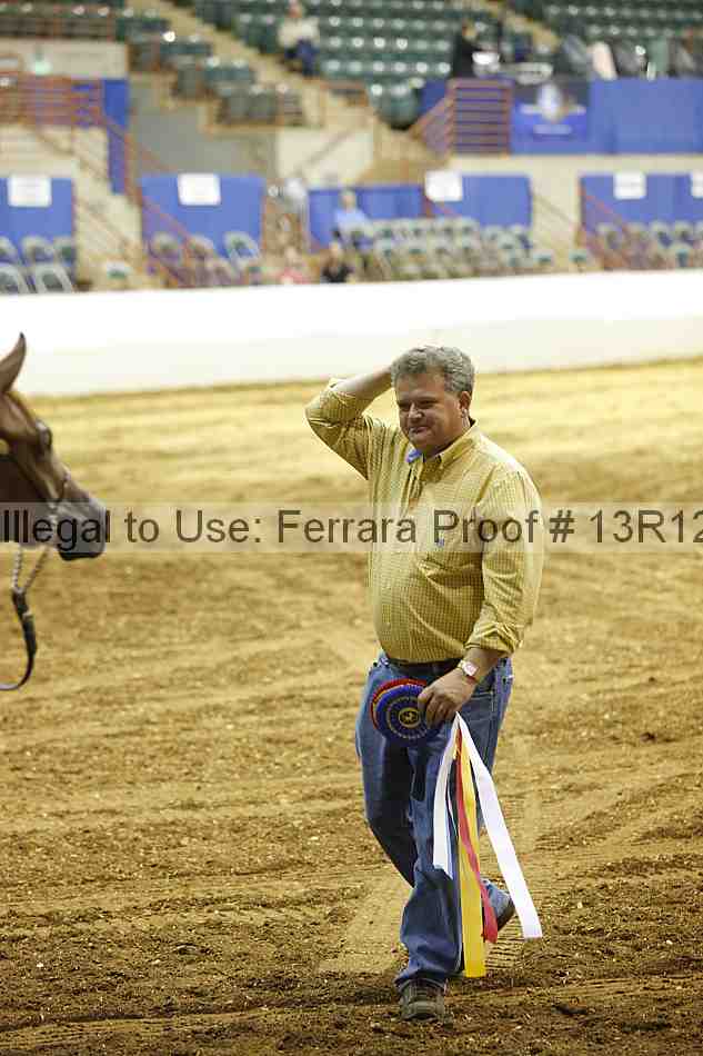 Proof Number 13r12_4651
