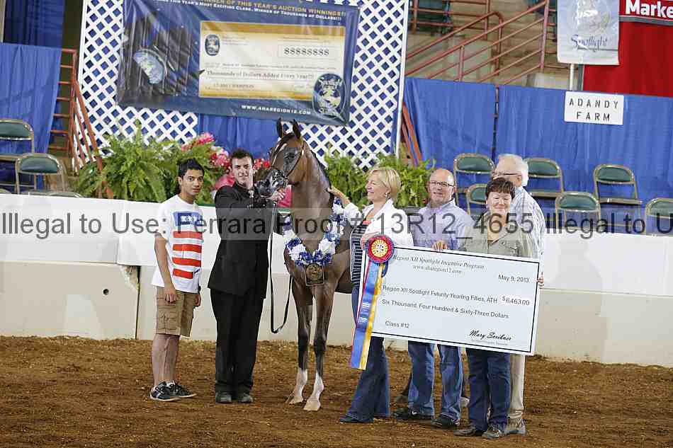 Proof Number 13r12_4655