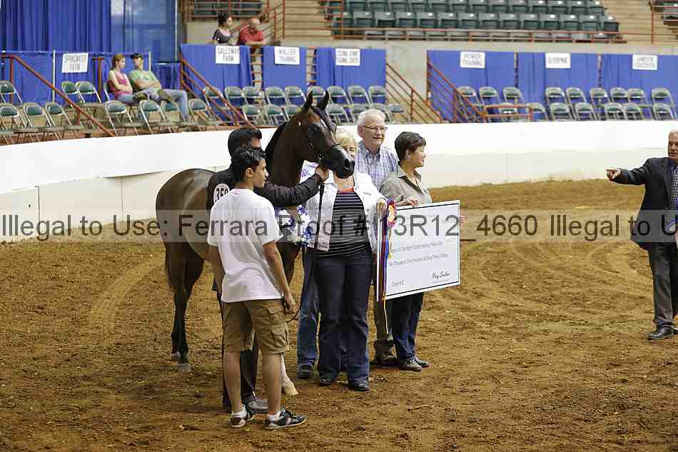 Proof Number 13r12_4660