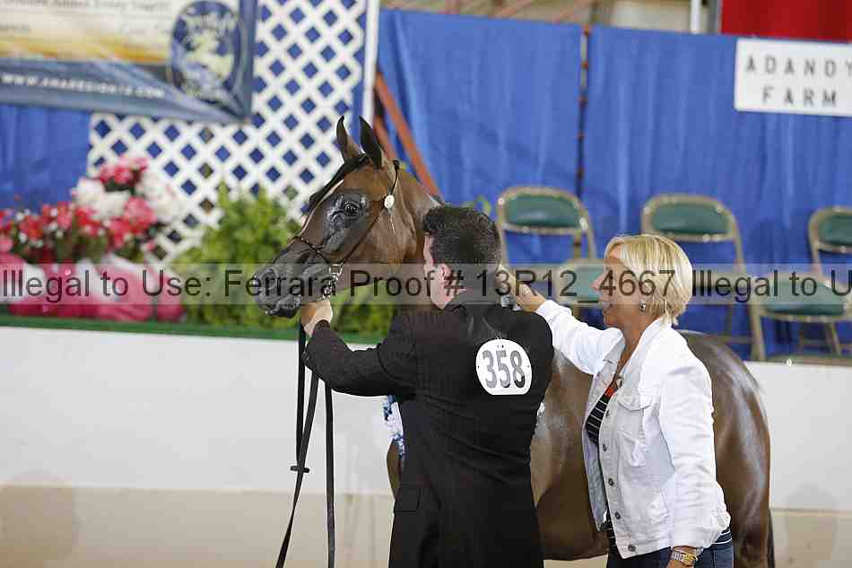 Proof Number 13r12_4667