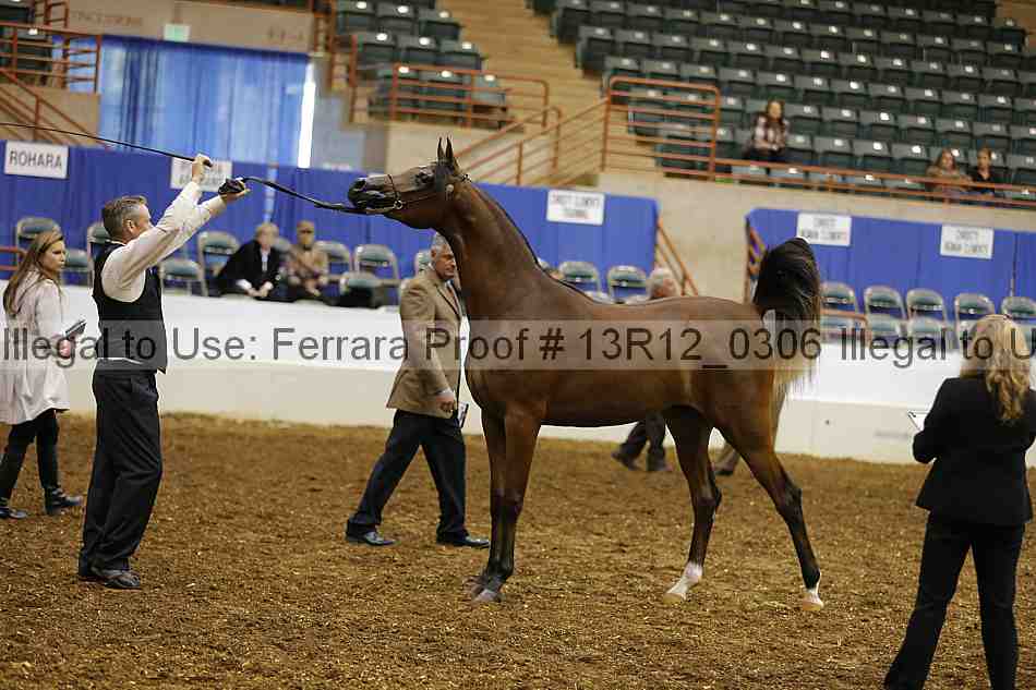 Proof Number 13r12_0306