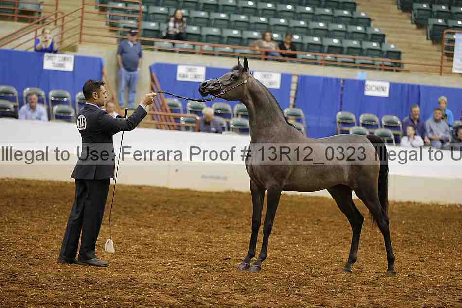 Proof Number 13r12_0323