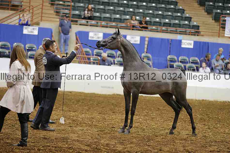 Proof Number 13r12_0324