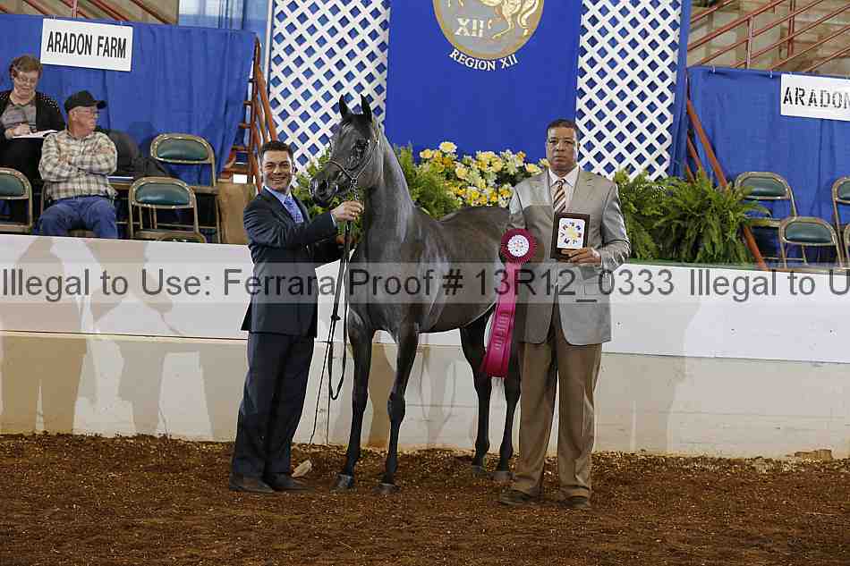 Proof Number 13r12_0333