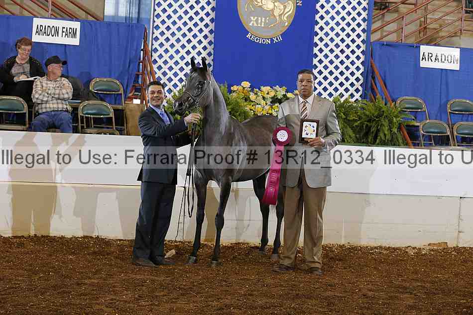 Proof Number 13r12_0334