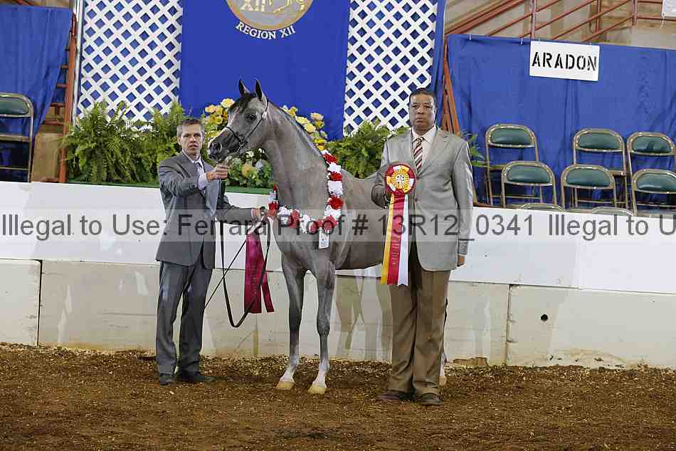 Proof Number 13r12_0341