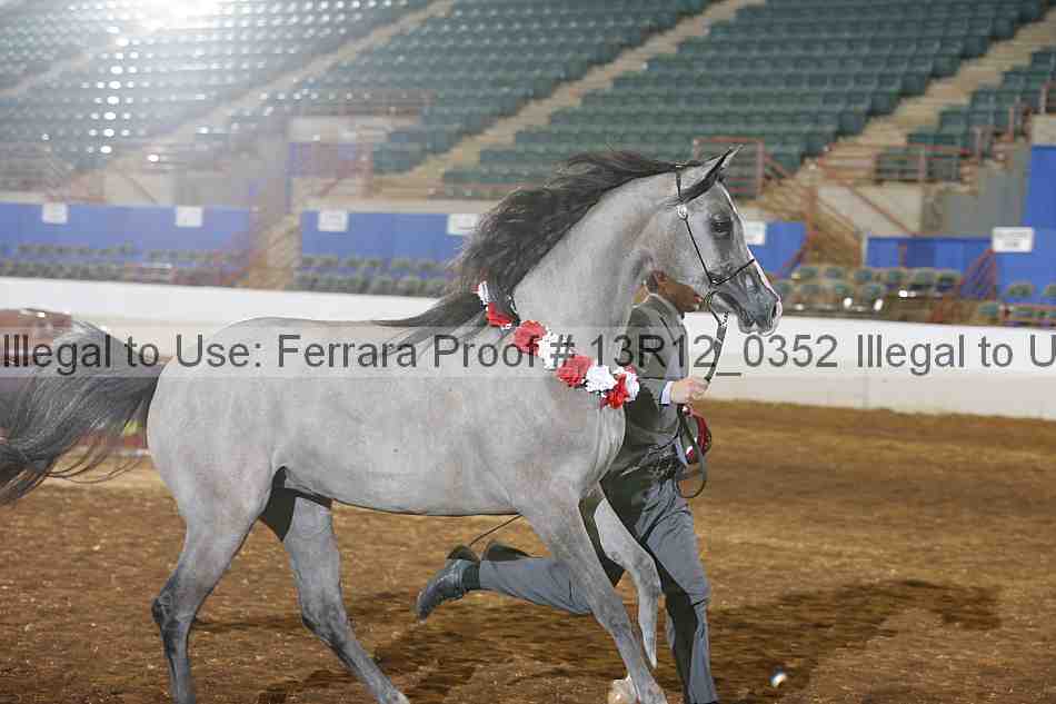 Proof Number 13r12_0352
