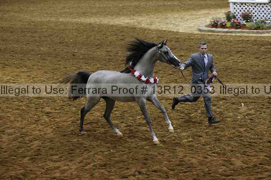 Proof Number 13r12_0353