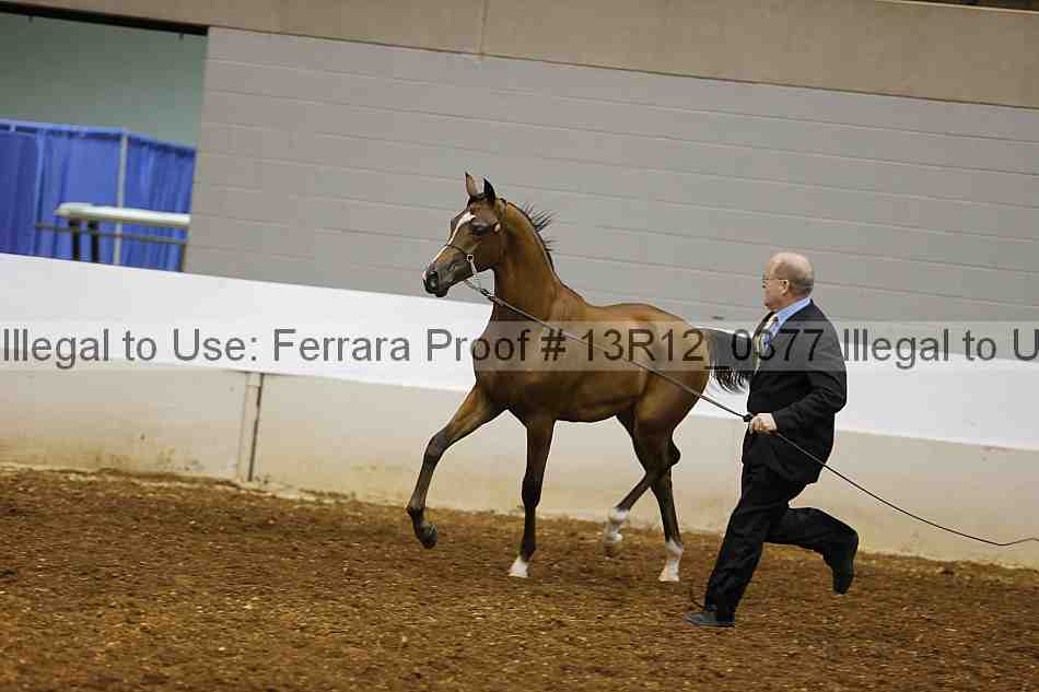 Proof Number 13r12_0377