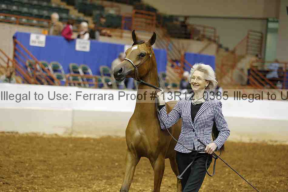 Proof Number 13r12_0385