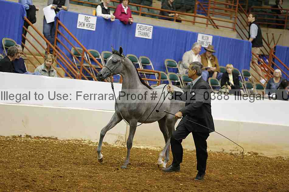 Proof Number 13r12_0388