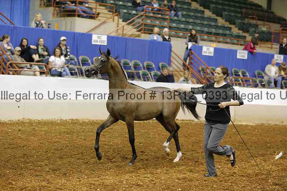 Proof Number 13r12_0393