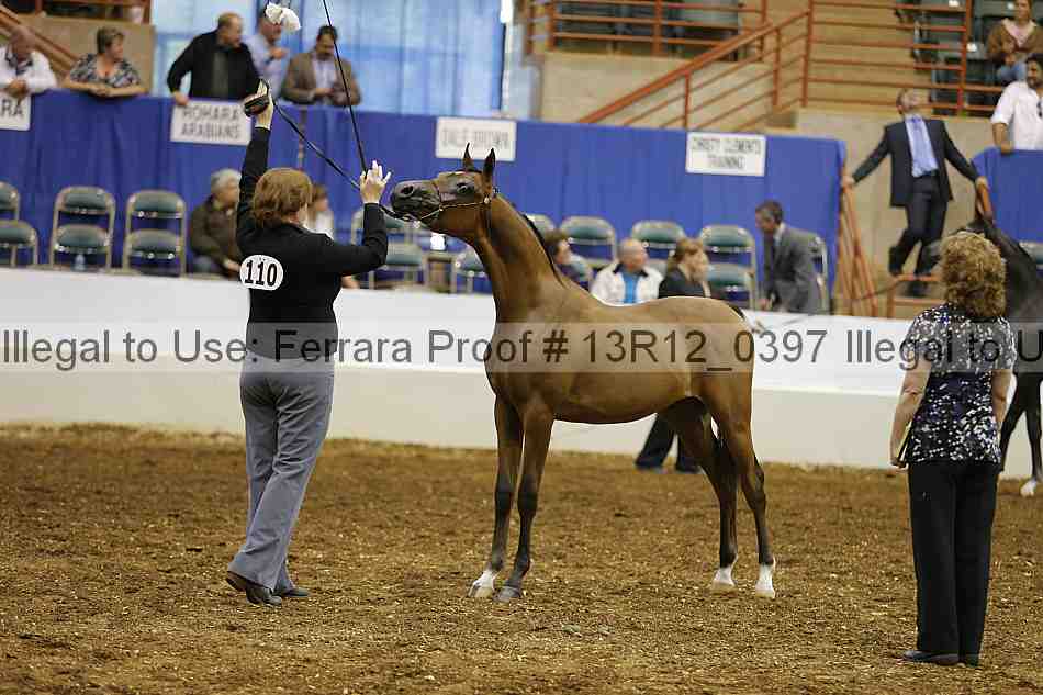 Proof Number 13r12_0397