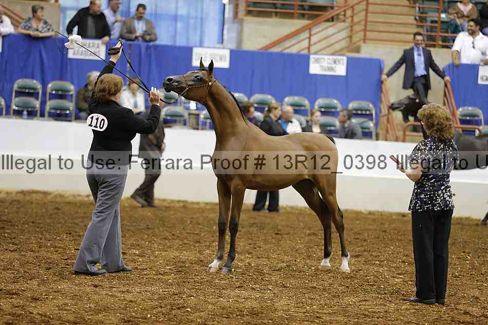 Proof Number 13r12_0398