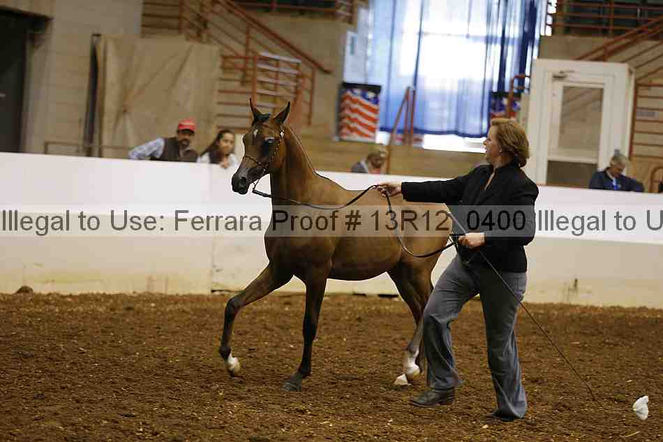 Proof Number 13r12_0400