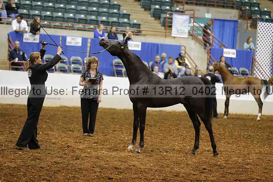 Proof Number 13r12_0402