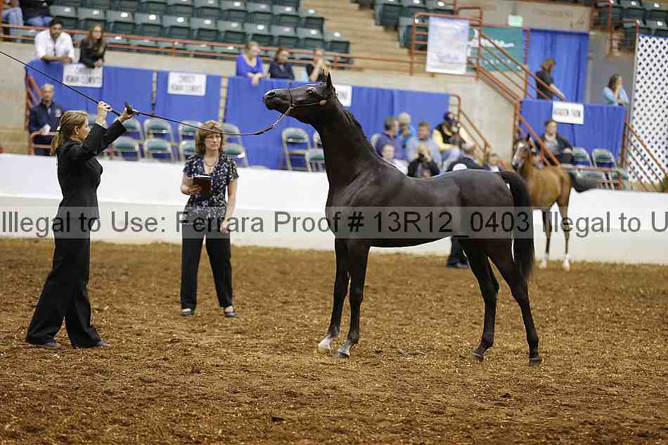 Proof Number 13r12_0403