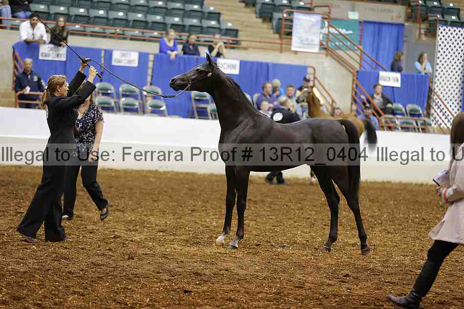 Proof Number 13r12_0404