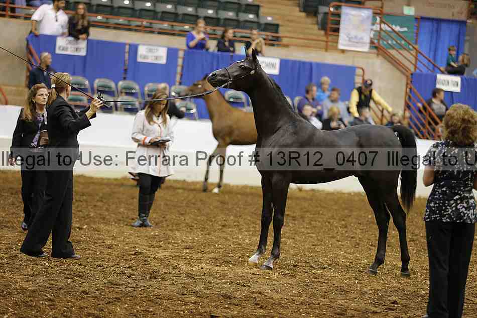 Proof Number 13r12_0407