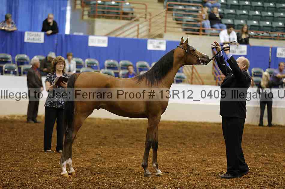 Proof Number 13r12_0409