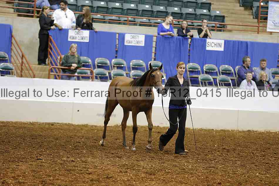 Proof Number 13r12_0415