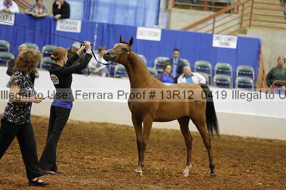 Proof Number 13r12_0419