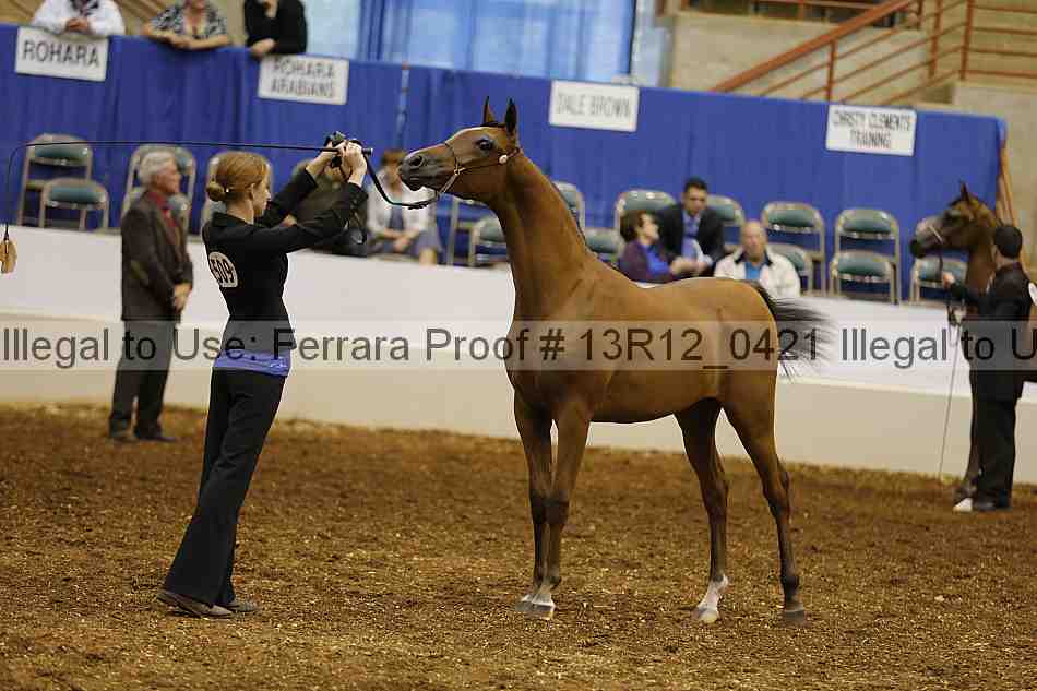 Proof Number 13r12_0421
