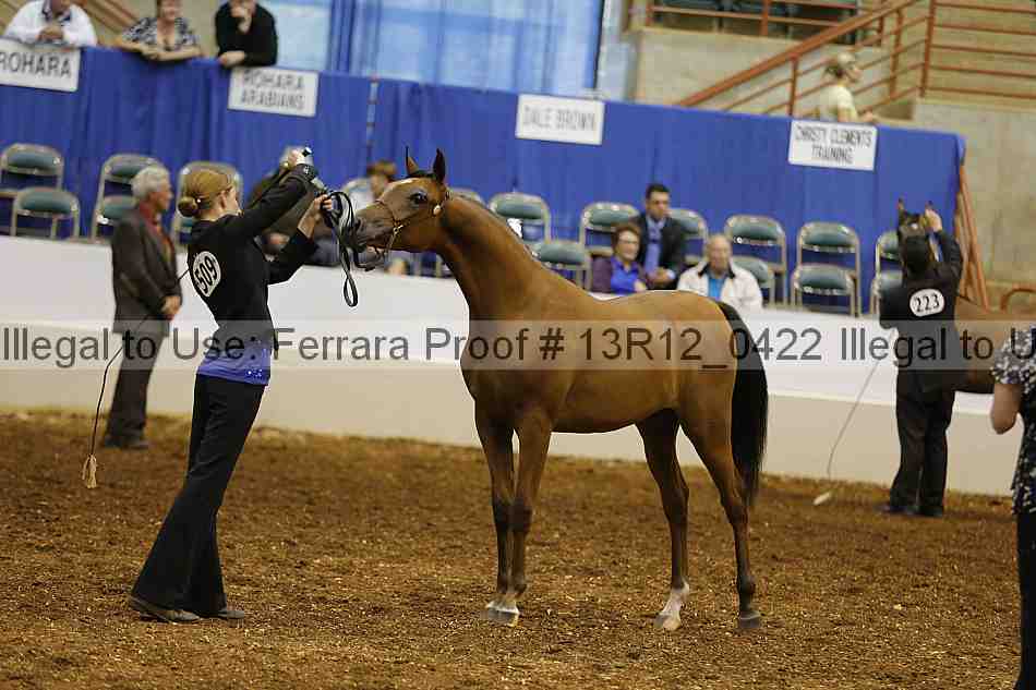 Proof Number 13r12_0422