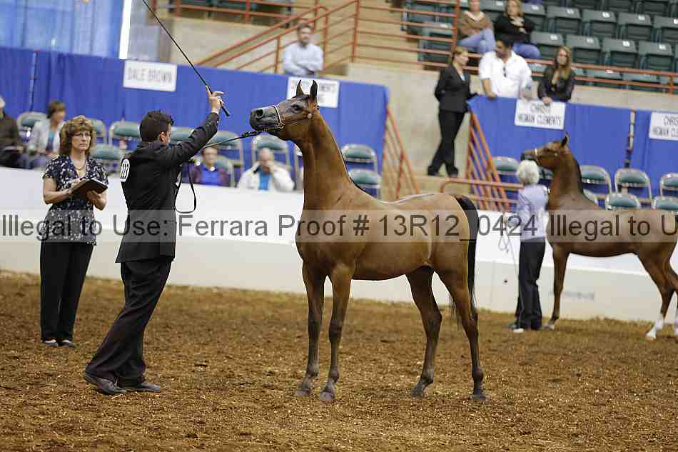 Proof Number 13r12_0424