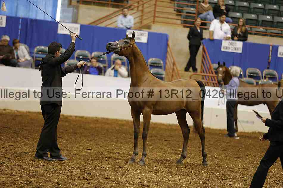 Proof Number 13r12_0426