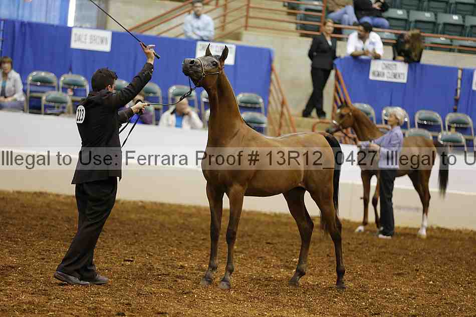 Proof Number 13r12_0427