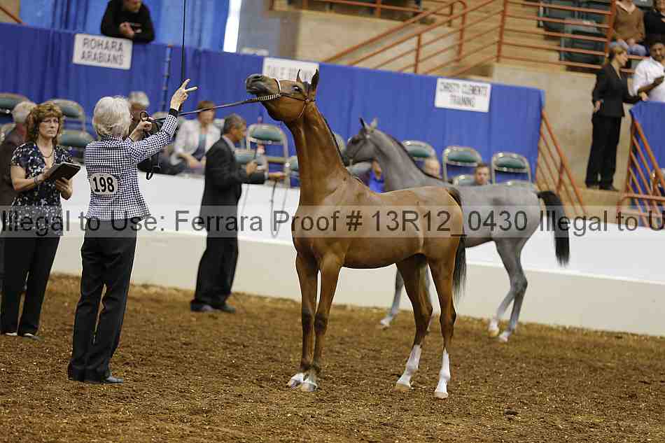 Proof Number 13r12_0430