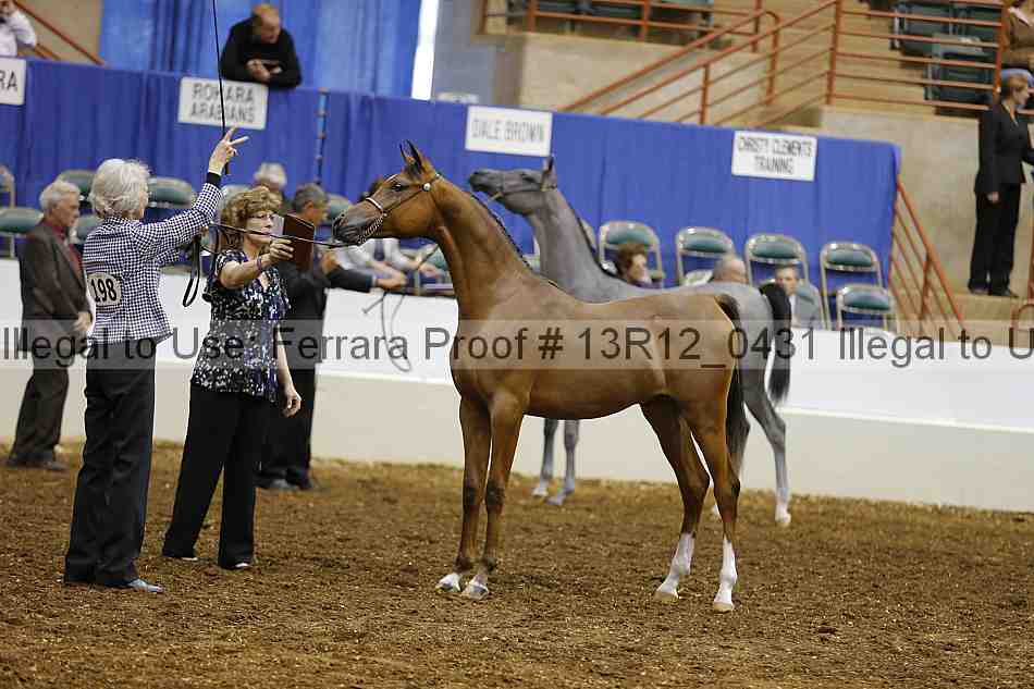 Proof Number 13r12_0431