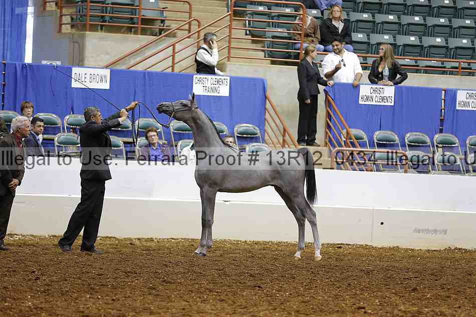 Proof Number 13r12_0434