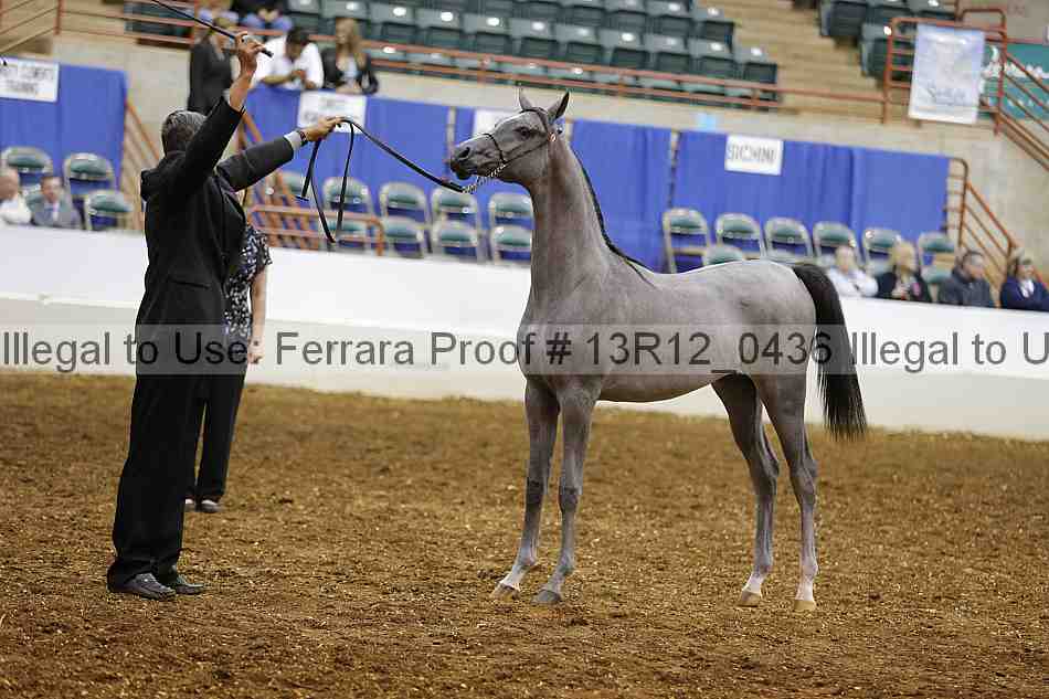 Proof Number 13r12_0436