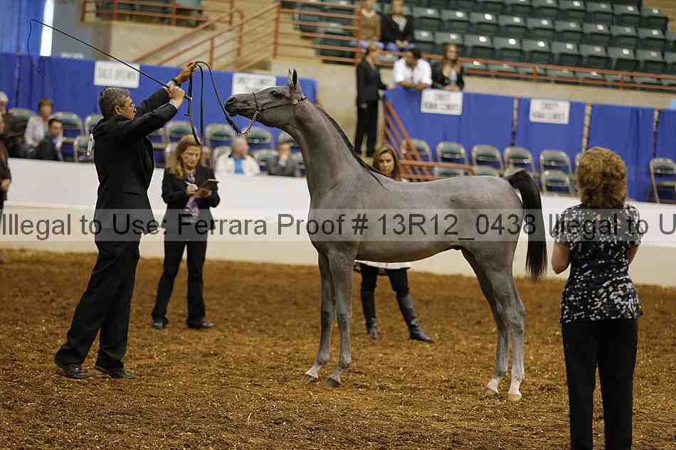 Proof Number 13r12_0438