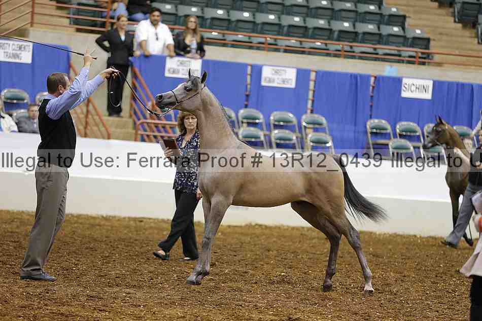 Proof Number 13r12_0439