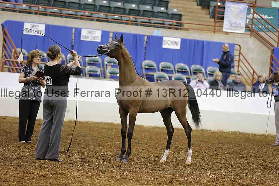 Proof Number 13r12_0440
