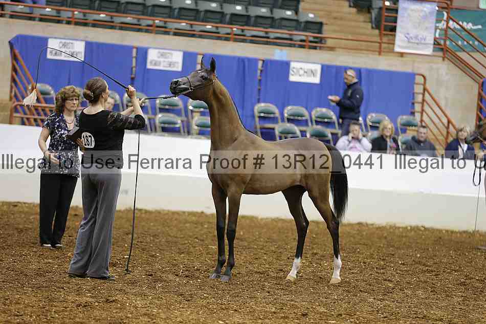 Proof Number 13r12_0441