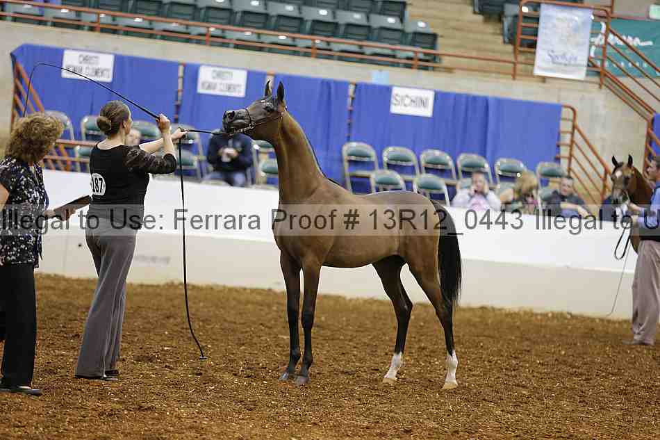 Proof Number 13r12_0443