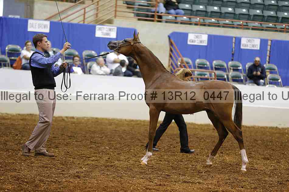 Proof Number 13r12_0447