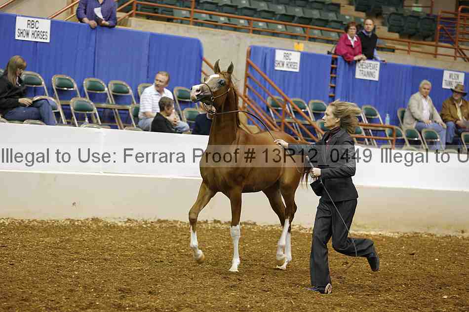 Proof Number 13r12_0449