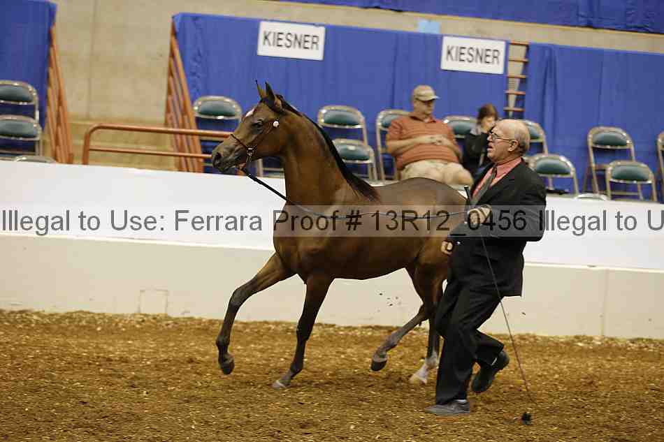Proof Number 13r12_0456