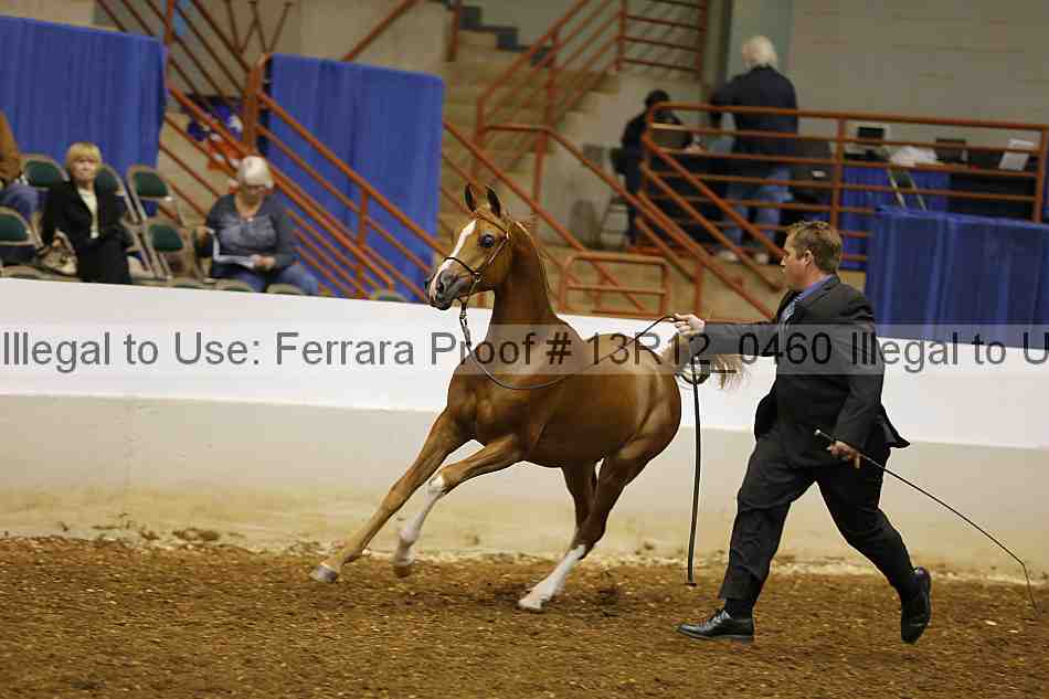 Proof Number 13r12_0460